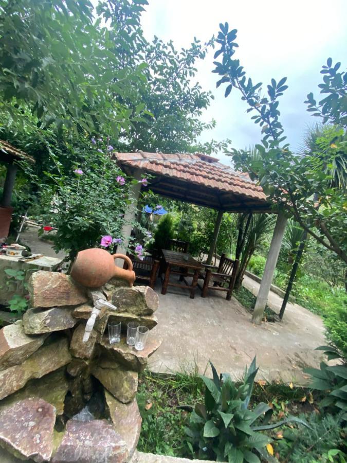 מלון באטומי Holiday House Chkonia מראה חיצוני תמונה