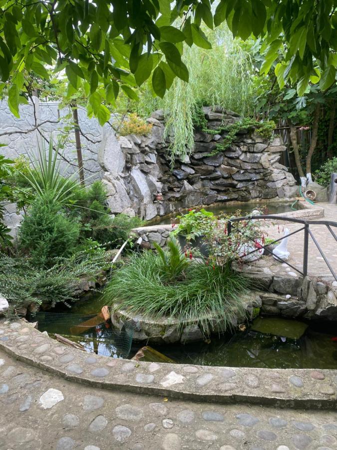 מלון באטומי Holiday House Chkonia מראה חיצוני תמונה