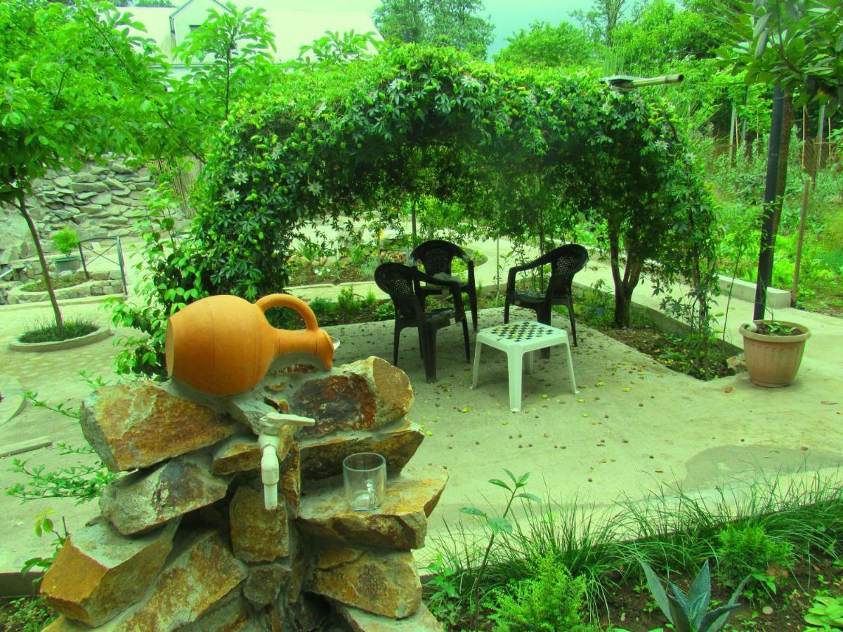 מלון באטומי Holiday House Chkonia מראה חיצוני תמונה
