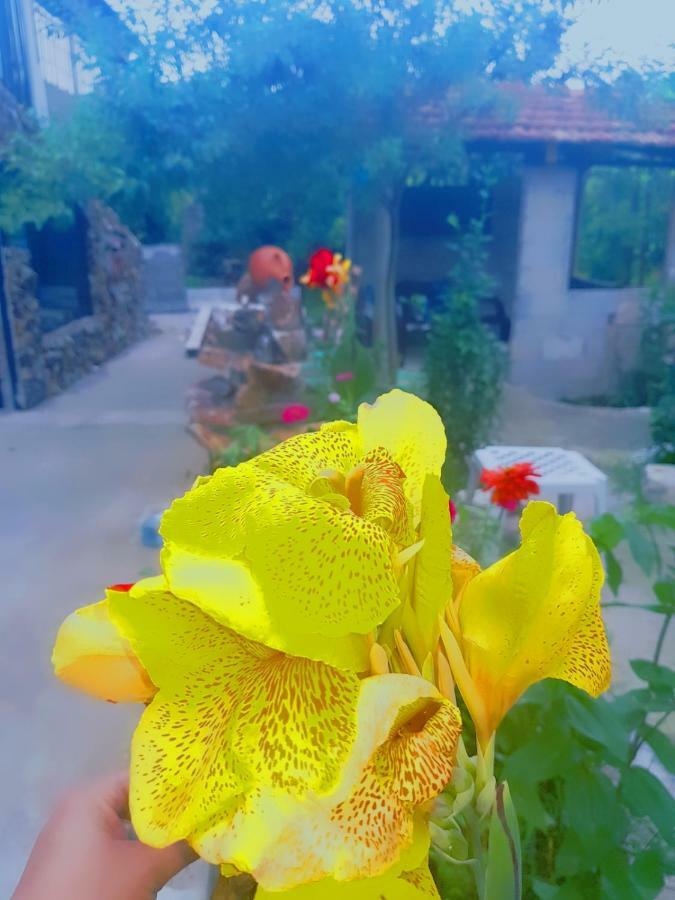 מלון באטומי Holiday House Chkonia מראה חיצוני תמונה
