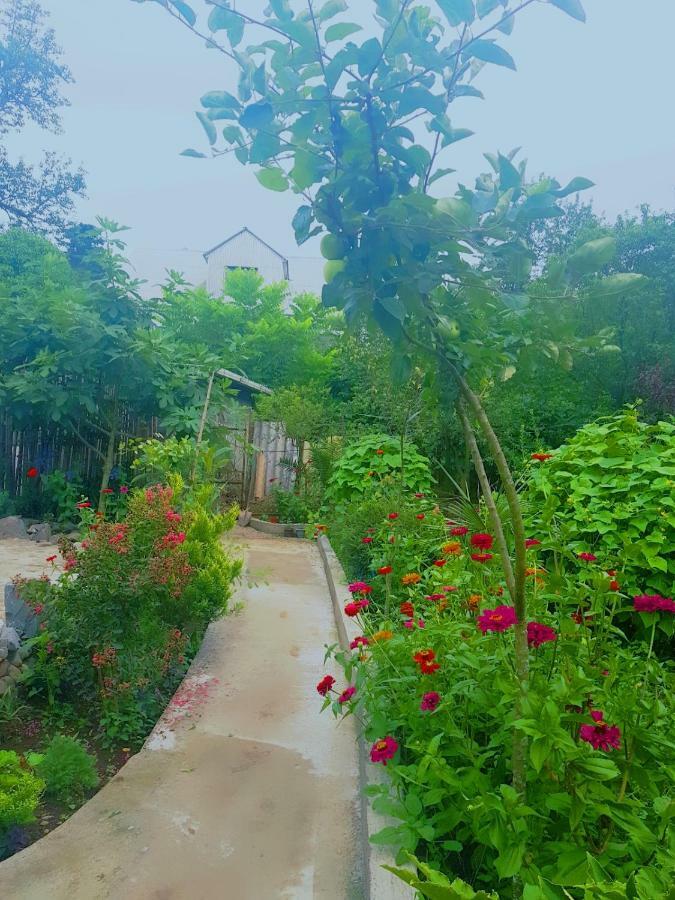 מלון באטומי Holiday House Chkonia מראה חיצוני תמונה